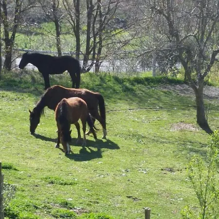 Georgerock Grimaldi (Calabria)