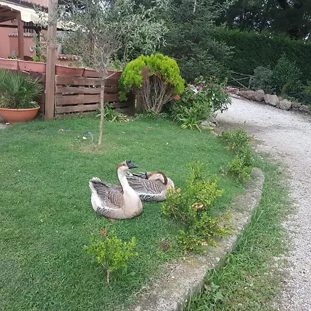 Georgerock فندق مبيت وإفطار *