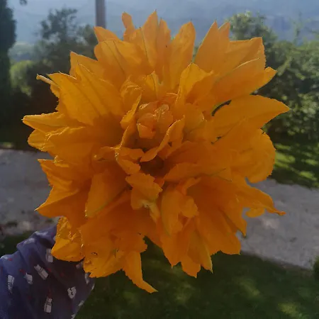 Alojamento de Acomodação e Pequeno-almoço Georgerock