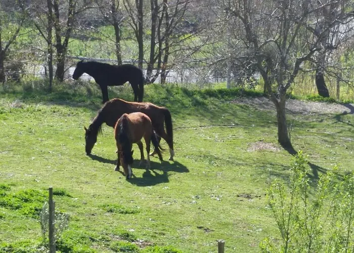 Georgerock Grimaldi (Calabria)