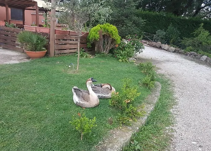 Georgerock فندق مبيت وإفطار *